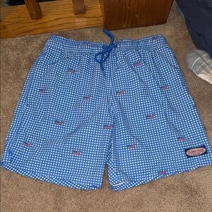 Vineyard Vines Blue Gingham Swim Trunks